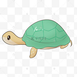 卡通乌龟龟壳迷你风格弧形乌龟手绘睡眠日乌龟插画甲骨文汉字印章绿色