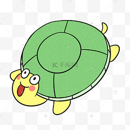 小动物乌龟