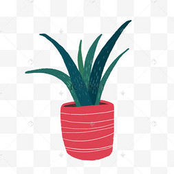 卡通芦荟盆栽png免抠素材