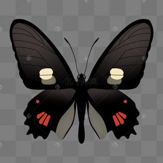 黑色花纹手绘大蝴蝶psd免抠图