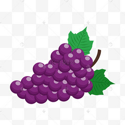 濯足节圣餐紫色美味葡萄