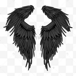 黑白风格天使羽翼翅膀素描线稿