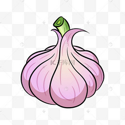 新鲜大蒜剪贴画