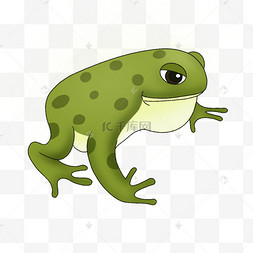 卡通蟾蜍