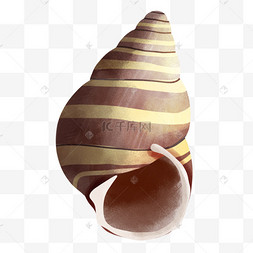 装扮动物海岸海螺配件海洋螺纹装饰贝类沙滩海螺海螺贝壳蜗牛橡果颜