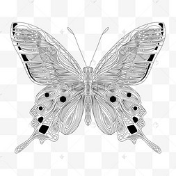 黑白几何线条画蝴蝶填色本漂浮几何图形花型淡紫色几何线条昆虫填色本