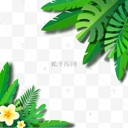 龟背竹叶热带框架