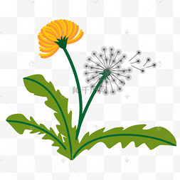 生机盎然的蒲公英剪贴画花卉礼包礼盒漂浮装饰卡通q版签到送好礼矢量