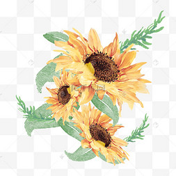 花卉向日葵边框手绘水彩插画元素