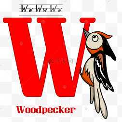 字母w与啄木鸟