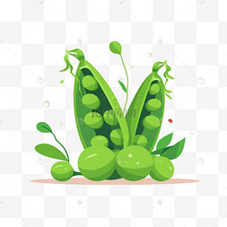 豌豆射手的豌豆图片_卡通手绘豌豆有机