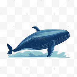卡通手绘海洋动物图片_海洋动物鲸鱼卡通手绘