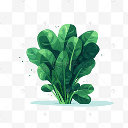 新鲜蔬菜扁平图片_扁平绿色蔬菜青菜