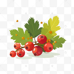 红果装饰图片_卡通植物装饰红果