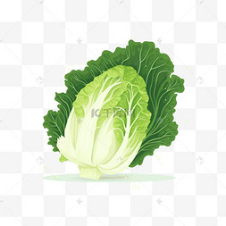 煮熟的青菜青菜图片_手绘蔬菜绿色青菜生菜