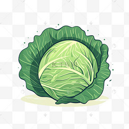 卡通手绘蔬菜生菜青菜