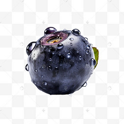 蓝莓实拍实物免扣应季水果蔬菜