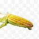 玉米实拍实物免扣应季水果蔬菜