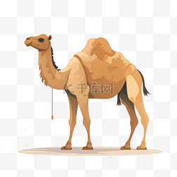 卡通手绘骆驼动物