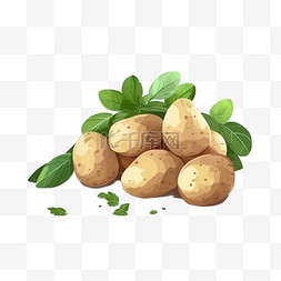 手绘扁平蔬菜土豆