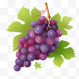 手绘卡通水果葡萄