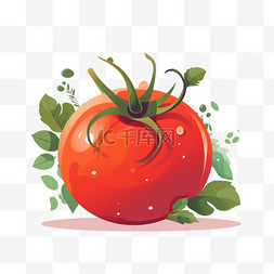 扁平矢量蔬菜番茄西红柿
