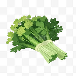 切好的芹菜图片_手绘扁平蔬菜芹菜
