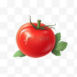 西红柿png素材图片_手绘卡通蔬菜番茄西红柿