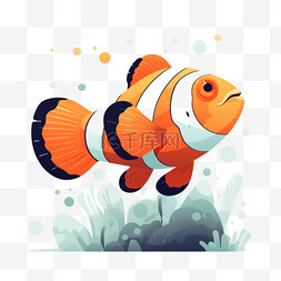 小丑鱼图片_小丑鱼海洋深海生物免扣素材手绘