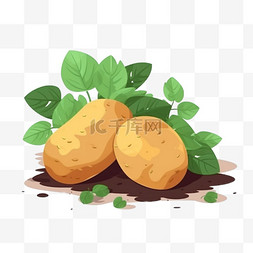 有机肥袋子图片_扁平卡通手绘蔬菜土豆