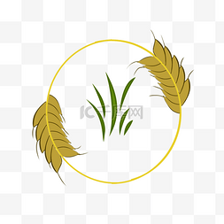 线性金黄麦穗