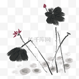 荷塘月色插画图片_手绘美丽荷叶荷花插画