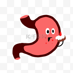  器官胃部
