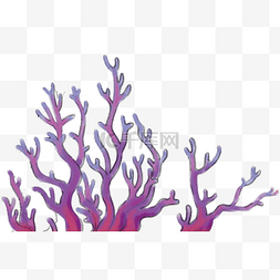 海洋生命紫色珊瑚