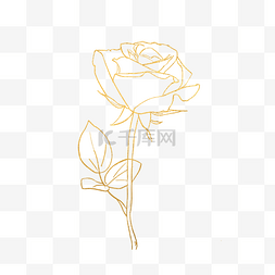 金色玫瑰手绘图片_手绘金色玫瑰花设计
