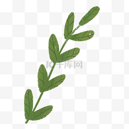 绿色植物树叶元素
