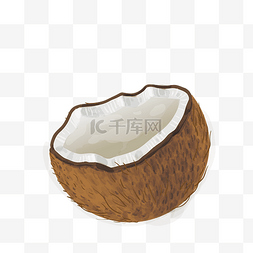 的果实图片_手绘打开的椰子免抠图