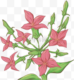 卡通手绘冬季植物花朵