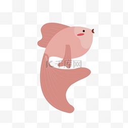 海底粉色动物金鱼