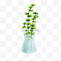 日系小清新盆栽透明花瓶绿叶