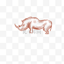 犀牛图片_手绘线稿犀牛