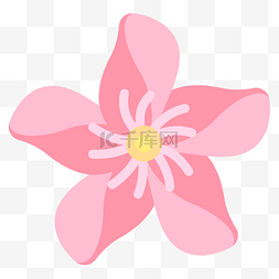 粉色的风筝花 