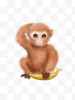 卡通金丝猴图片_动物系列金丝猴吃香蕉