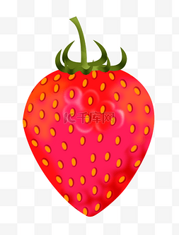 草莓叶子卡通图片_水果草莓手绘插画