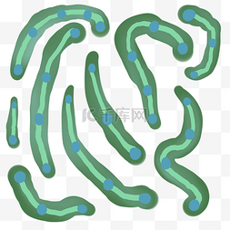 绿色条状细菌