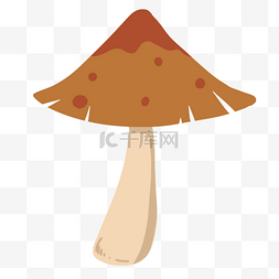 菌菇植物蘑菇