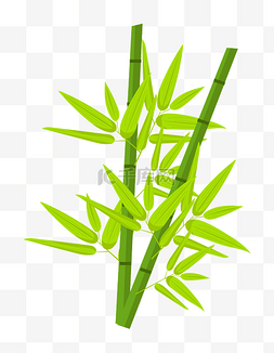 细细的斜体图片_发黄的竹叶竹子插画