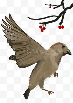 中国风棕色麻雀小鸟免费下载