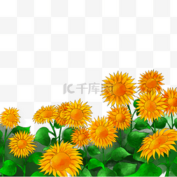 绿叶模板下载图片_卡通黄色向日葵下载