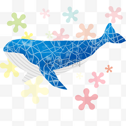 斑纹的鲸鱼 